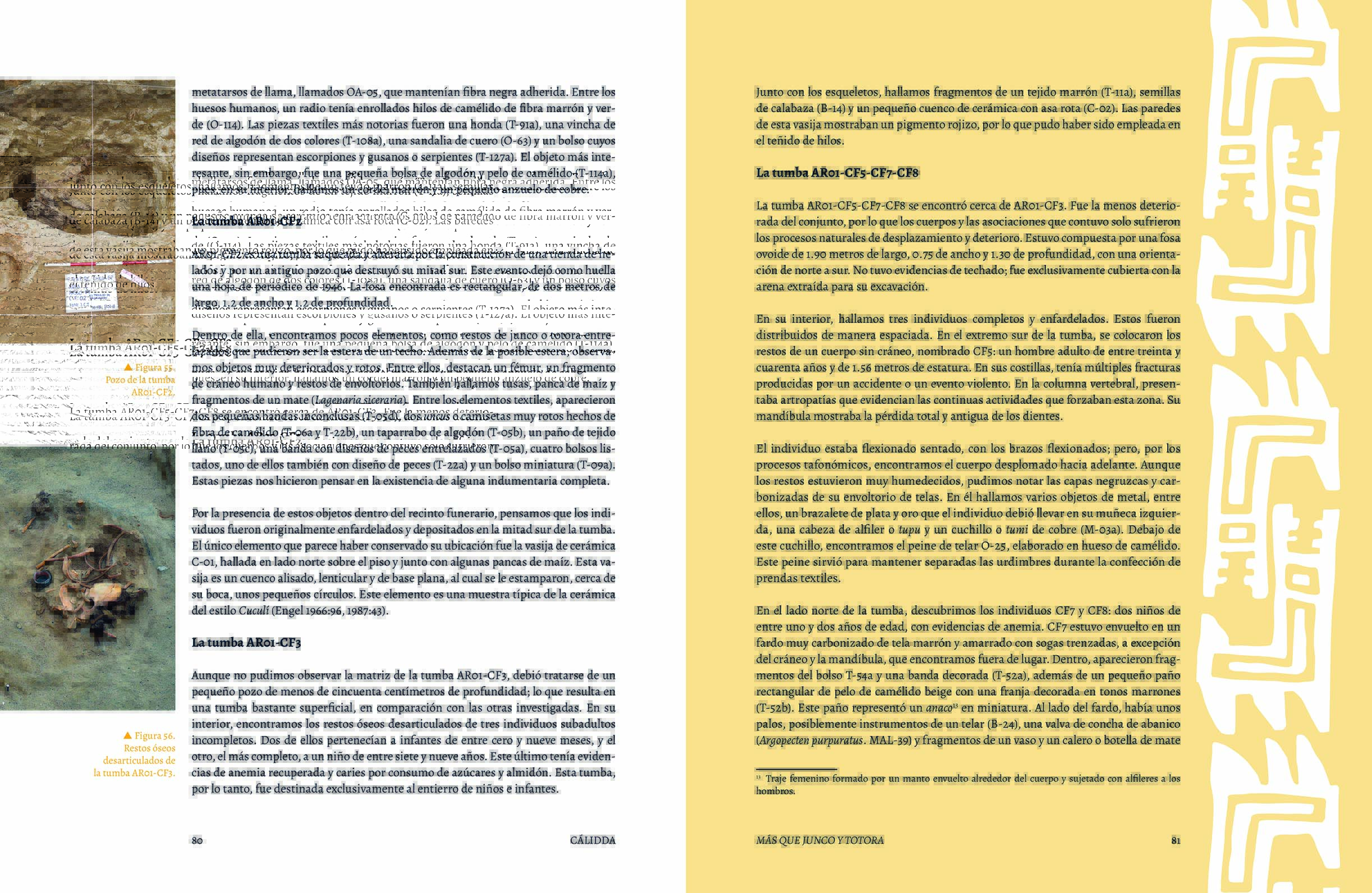 mas que junco y totora41