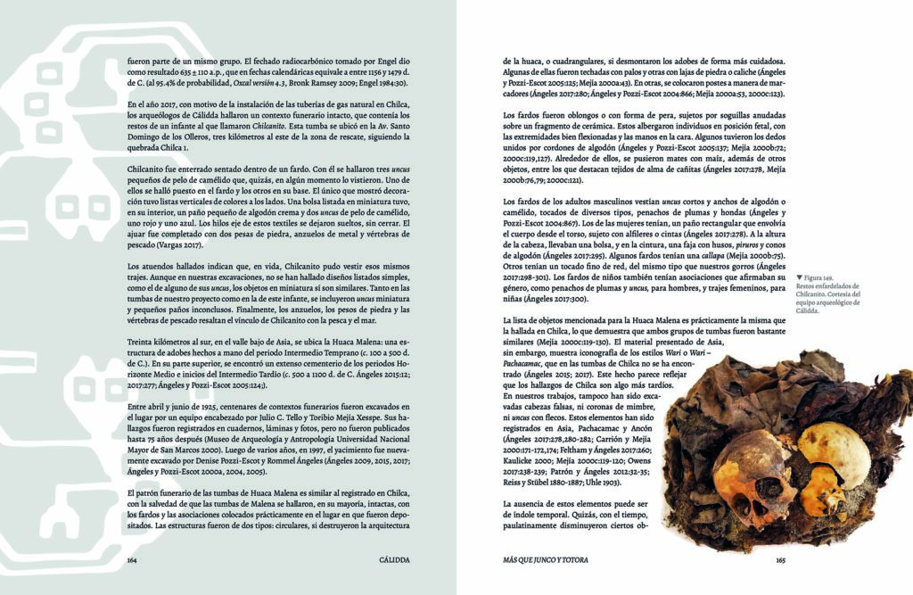 mas que junco y totora83